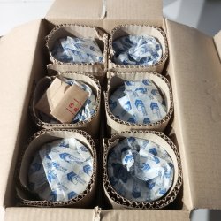 Jaguar 4235 ccm OHC stempelst 0,06" overstr.