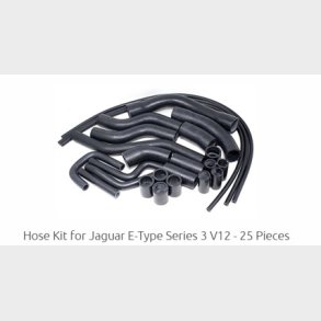 Jaguar E-Type Mk3 V12 slanges�t