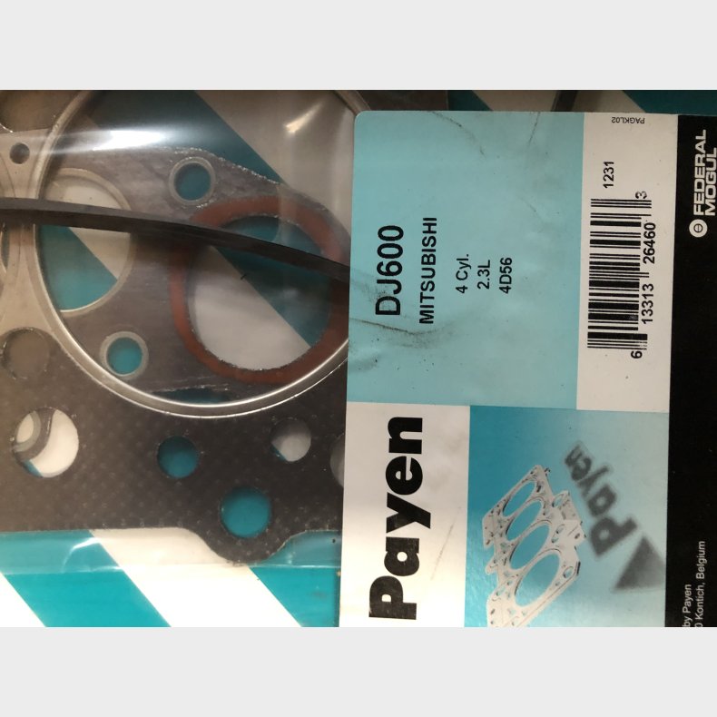 Mitsubishi 4D56 slibest