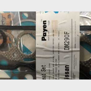 Nissan SD22 slibes�t