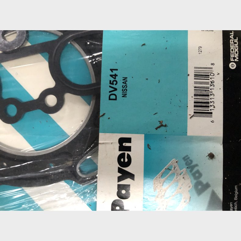 Nissan Primera P10 &amp; P11 2,0i 16V slivest